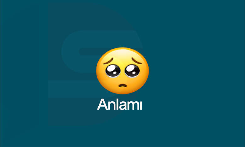 Emoji Anlamı