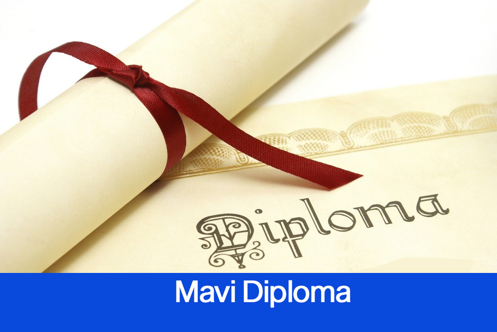 Mavi diploma veren üniversiteler