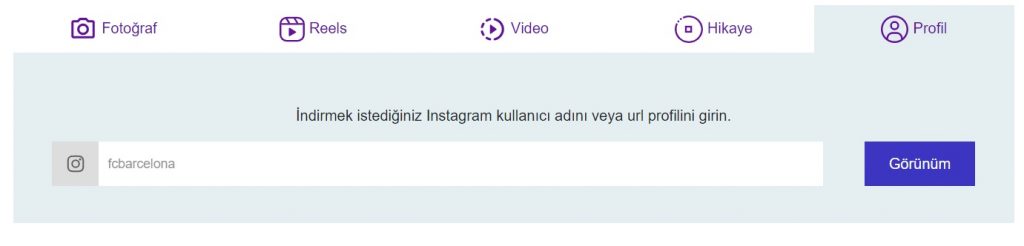 Save İnsta ile Instagram Profil Resmi indirme