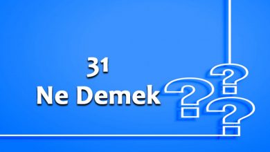 31 Ne Demek Anlamı