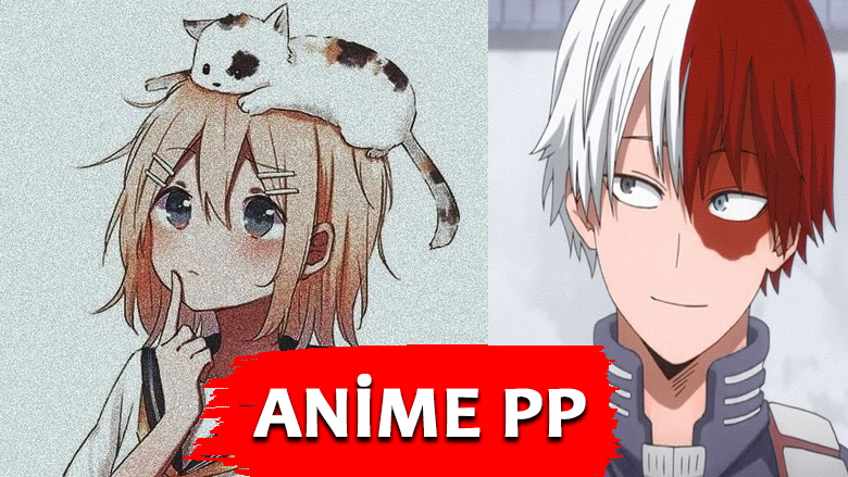 Anime PP