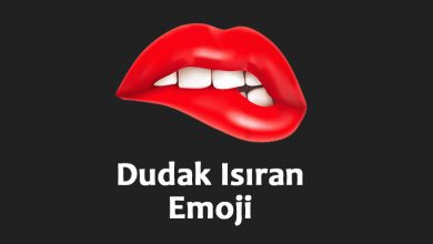 Dudak ısıran emoji