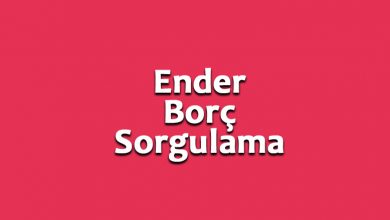 Ender Borç Sorgulama