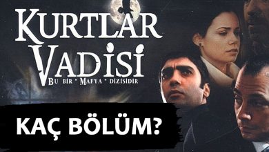 Kurtlar Vadisi Kaç Bölüm