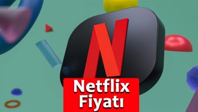 Netflix Fiyatı