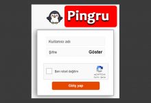 Pingru Web Giriş