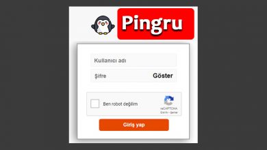 Pingru Web Giriş