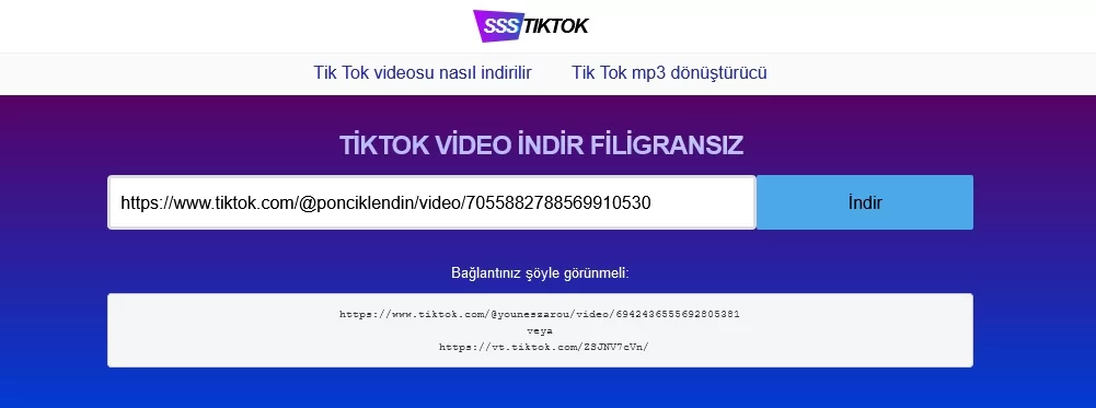 SSSTiktok filigransız video indirme