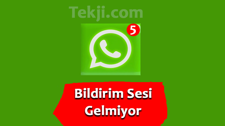 Whatsapp Bildirim Sesi Gelmiyor