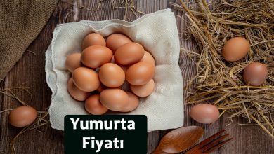 Bim Yumurta Fiyatı