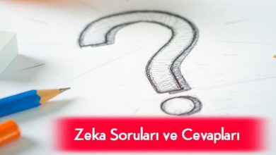 zeka soruları ve cevapları