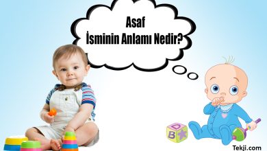 Asaf İsminin Anlamı Nedir