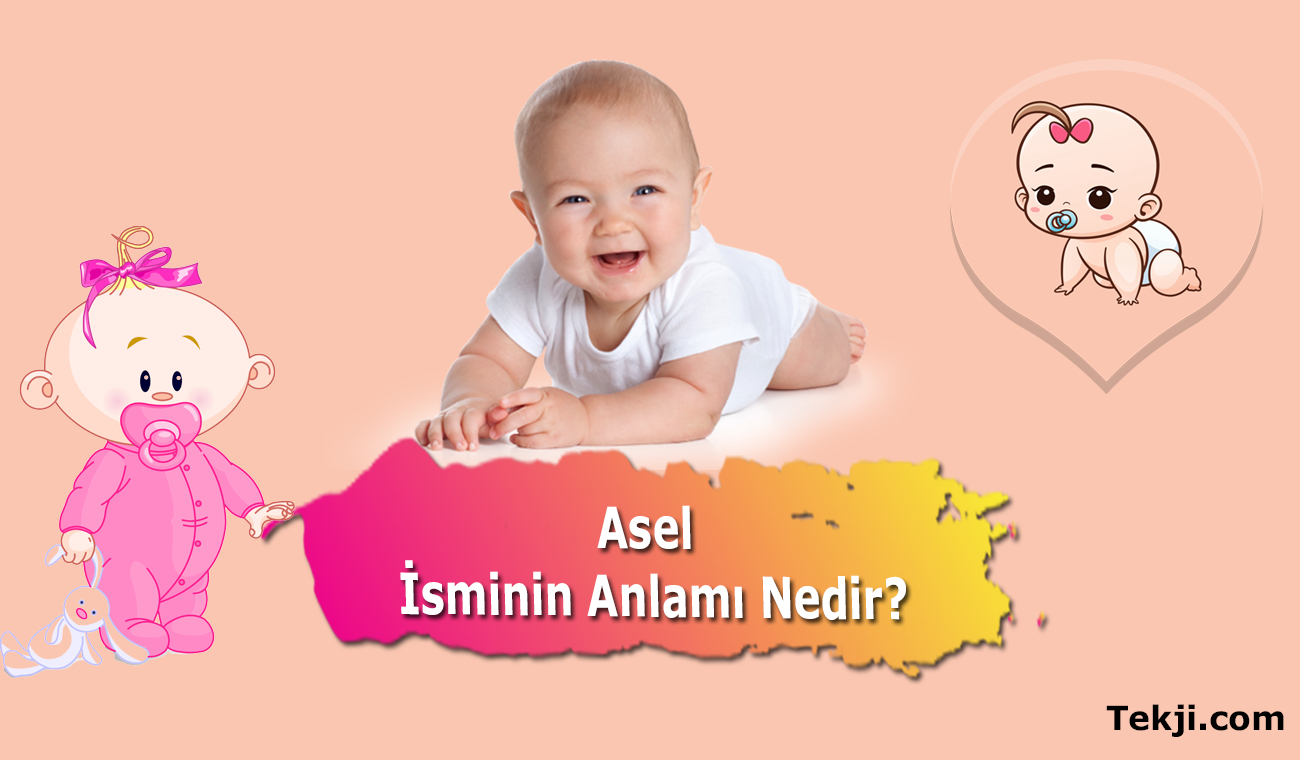 Asel İsminin Anlamı Nedir