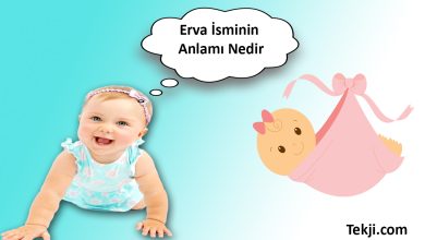 Erva İsminin Anlamı Nedir