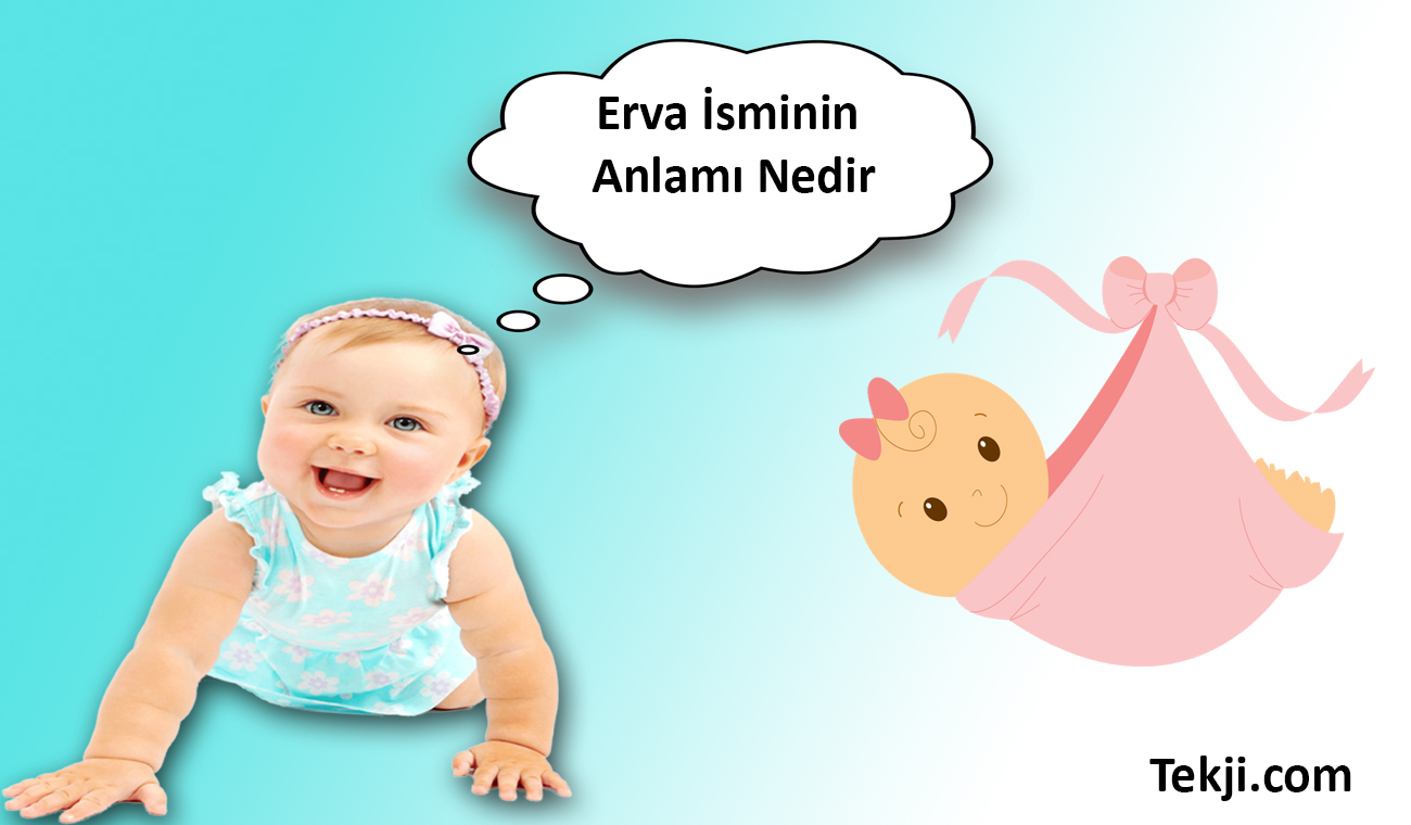 Erva İsminin Anlamı Nedir