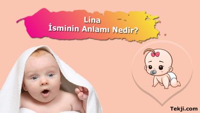Lina İsminin Anlamı Nedir?