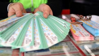 Milli Piyango Sorgulama Nasıl Yapılır