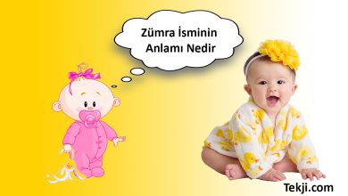 Zümra İsminin Anlamı Nedir
