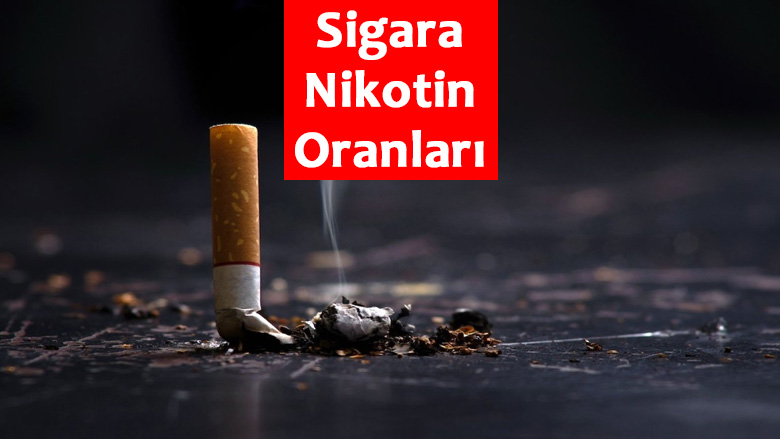 sigara nikotin oranları