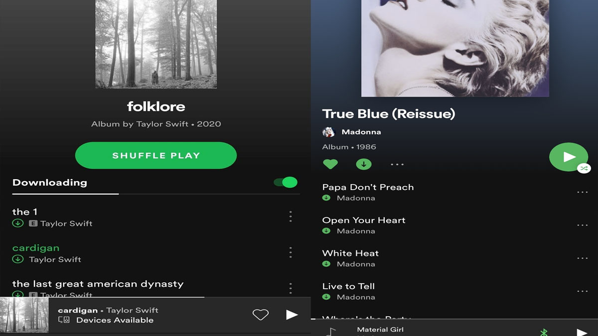 spotify müzik indirme