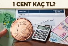 1 cent kaç tl euro ve dolar