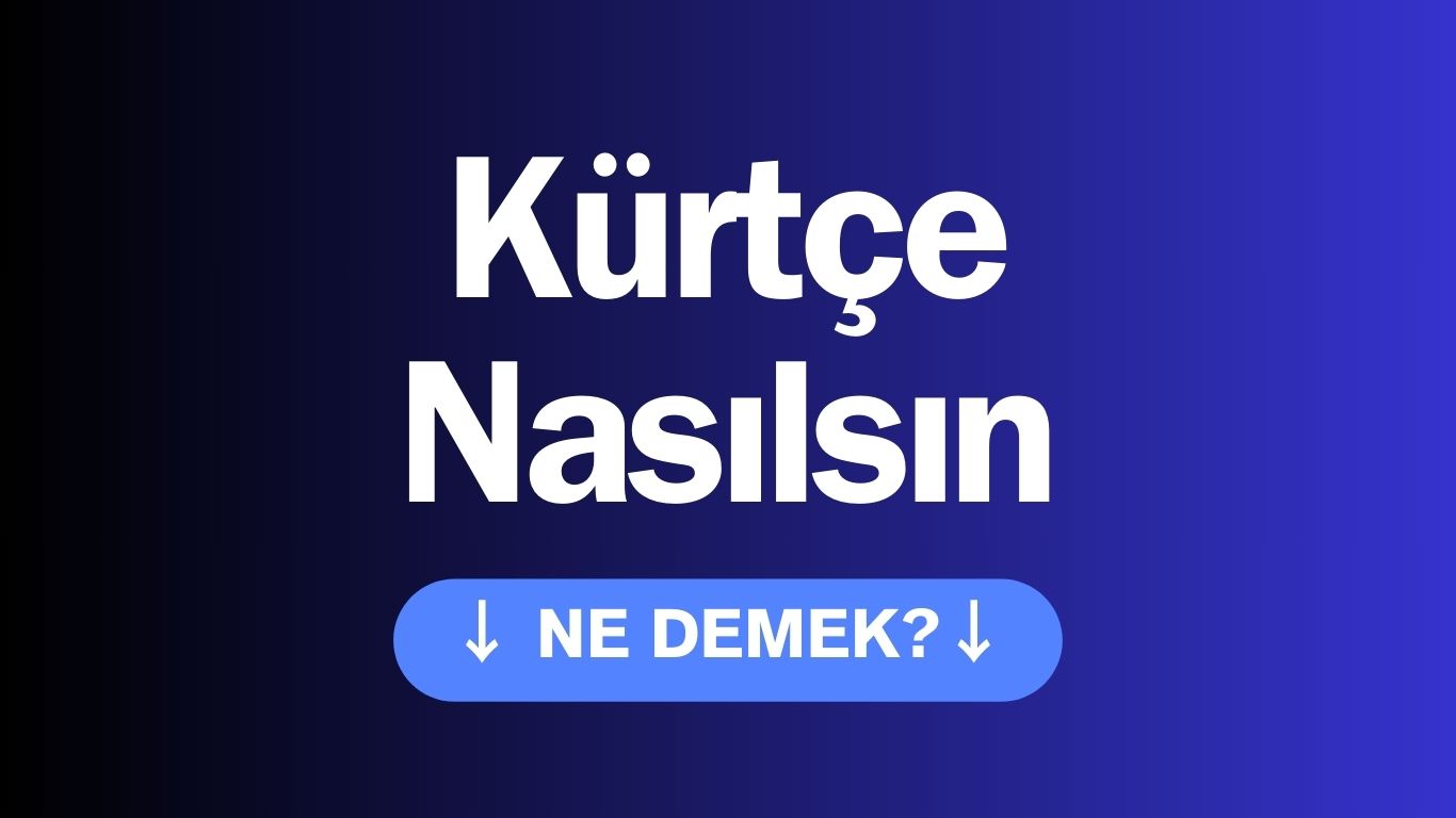 Kürtçede Nasılsın Ne Demek