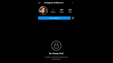 Instagram Profil Fotoğrafı Görünüyor Ama Profiline Girince Instagram Kullanıcısı Yazıyor